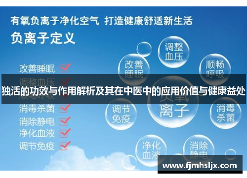 独活的功效与作用解析及其在中医中的应用价值与健康益处